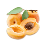 Apricot