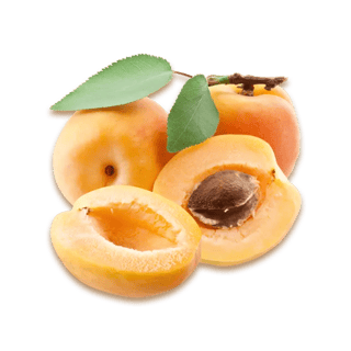 Apricot